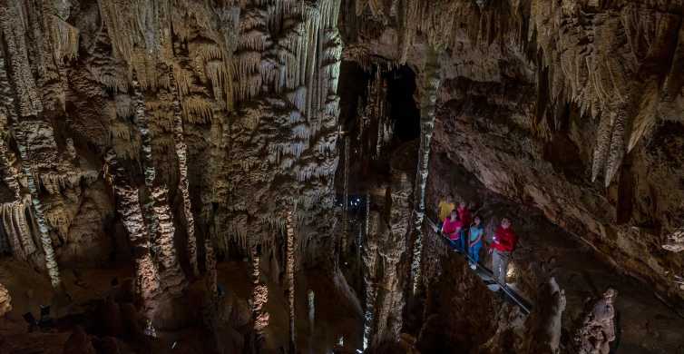 San Antonio: Discovery Tour at Natural Bridge Caverns
