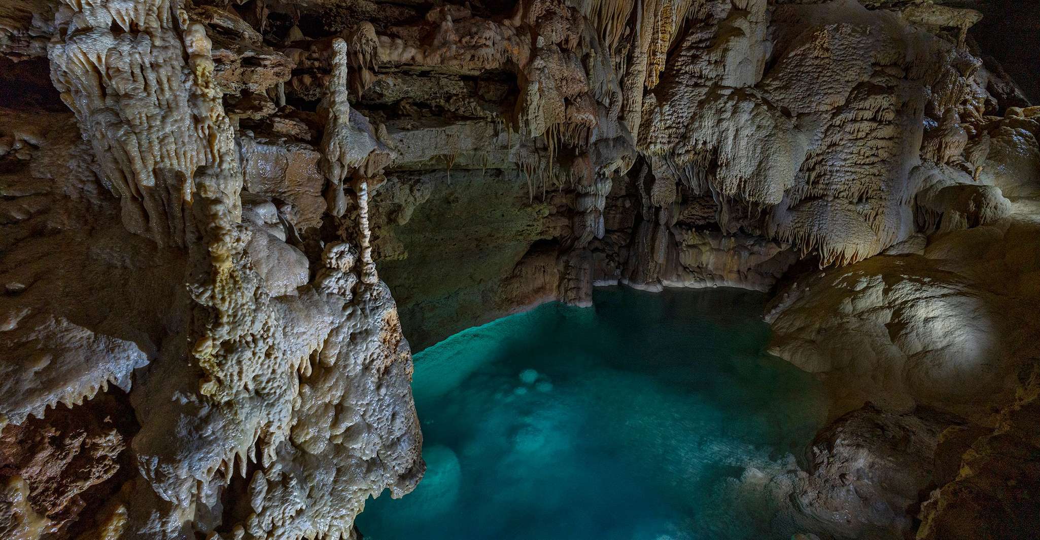 San Antonio: Discovery Tour at Natural Bridge Caverns photo 4