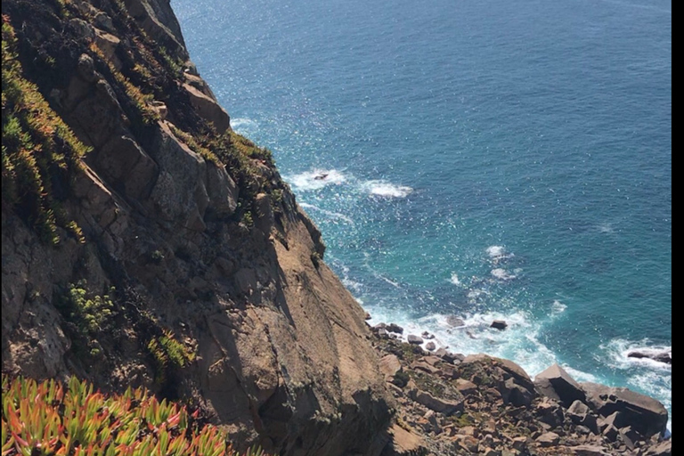 Lisboa: Excursión de un día al Palacio de la Pena, Sintra, Cascais y Cabo Roca