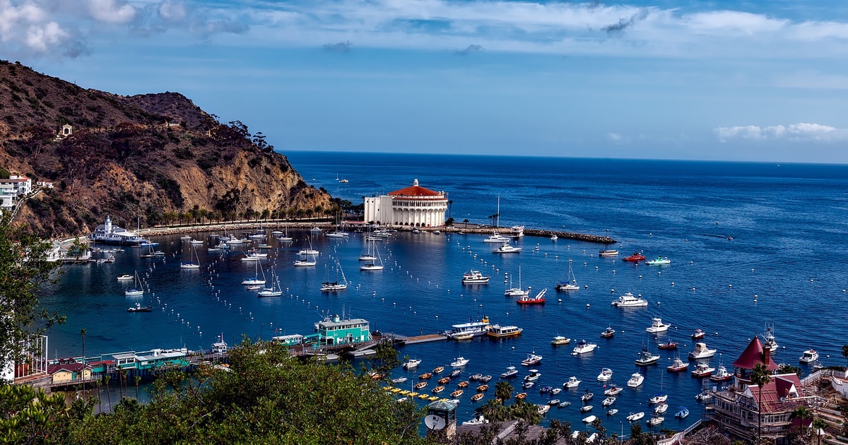 AllInclusive Guided Tour of Catalina Island from Orange Co GetYourGuide