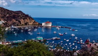 All-Inclusive Guided Tour of Catalina Island from Orange Co - Housity