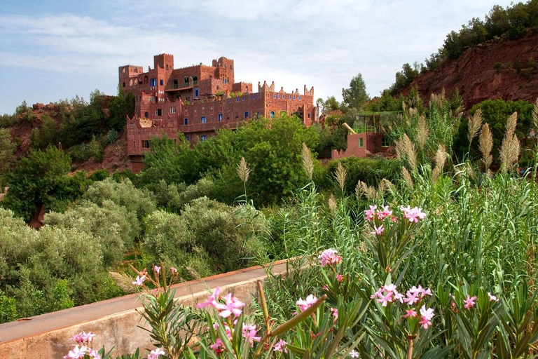 Dagsutflykt till Atlasbergen och 5 dalar från Marrakech