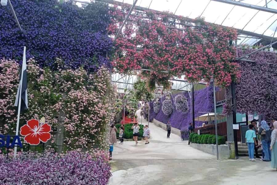 Von Kuala Lumpur: Cameron Highlands – private oder gemeinsame Tour. Foto: GetYourGuide Von Kuala Lumpur: Cameron Highlands – private oder gemeinsame Tour. Foto: GetYourGuide