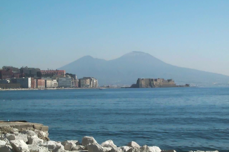 Naples et Pompéi : visite guidée d’une demi-journéeDepuis Naples : visite en français