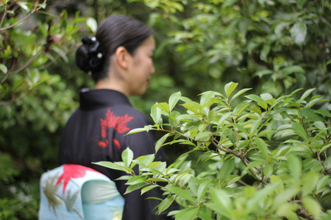 Cérémonie du thé à Kyoto avec une vue imprenable sur le jardinCérémonie de thé privée au Garden Teahouse