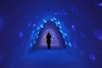 Levi, reis naar Lapland Snow Village met toegangskaarten - Housity