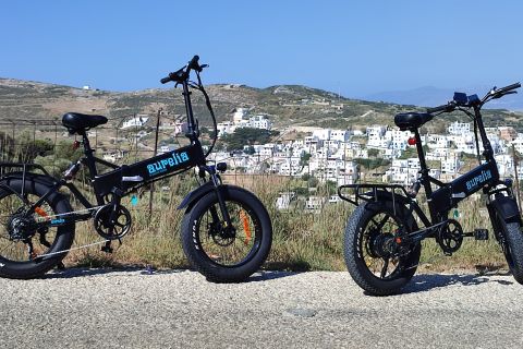 Naxos: Lowlands & Aegean Sea E-Bike Tour with Farm Tastings