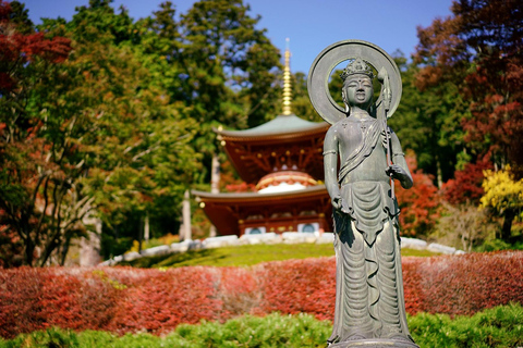 Osaka: Katsuoji Temple Guided Tour with Bus Transfer Private Tour in English with Meeting Point