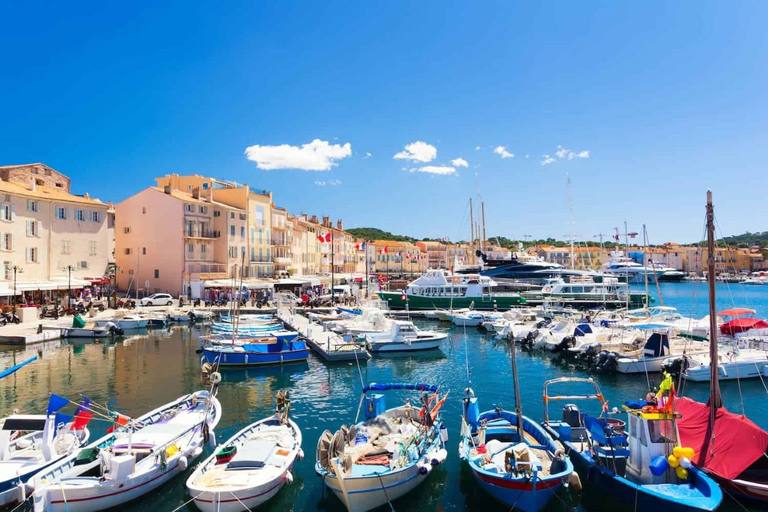 Da Nizza: tour guidato di un giorno ai campi di lavanda e alle gole del VerdonDa Nizza: Tour guidato dei campi di lavanda e delle gole del Verdon