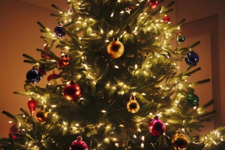 波士顿：圣诞幽灵徒步导览Boston: Ghosts of Christmas Past Guided Walking Tour