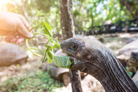 Zanzibar: Stone Town, Prison Island & Spice Farm Experience