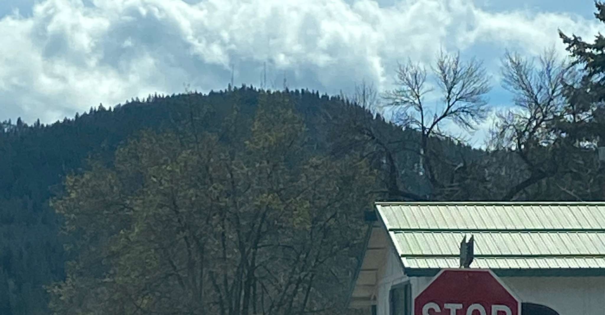 Leavenworth, Scenic Self-Driven Audio Tour - Housity