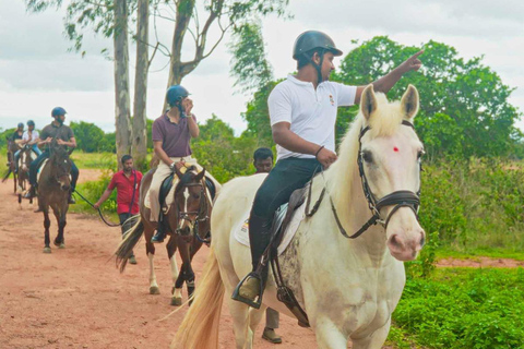 Best Horse Riding Safari Tour from Bangalore