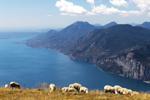 Lake Garda: Electric Biking and Hiking at Mount Baldo