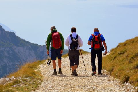Lake Garda: Mount Baldo Walking Tour with Naturalist Guide