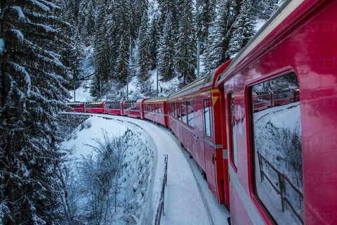 UNESCO Rhaetian Railway: Viaduct, Train Museum, St. Moritz Group of 8 Excluding Train Tickets