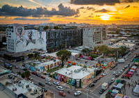 Boleto de entrada de Skip-the-Line de Miami, Wynwood Walls - Housity