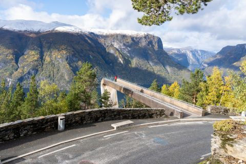 Flam: Spectacular Stegastein Viewpoint Tour with Shuttle Bus