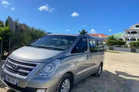 Marigot: Guided Island Highlights Tour in Taxi