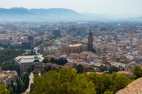 Málaga: Roman Theatre and Alcazaba Private Walking TourPrivate 2-hour waking tour of Roman Theatre and Alcazaba