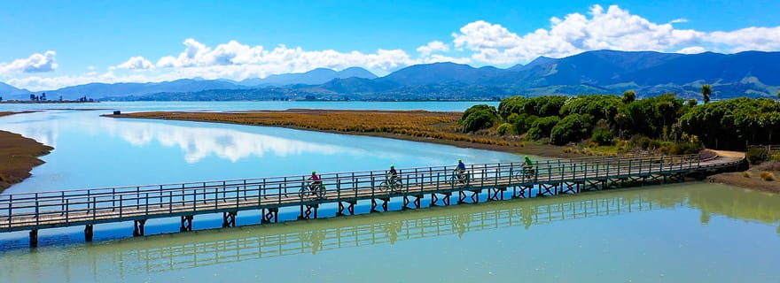 De Nelson à Mapua : Aventure cycliste autoguidée d'une journée entière