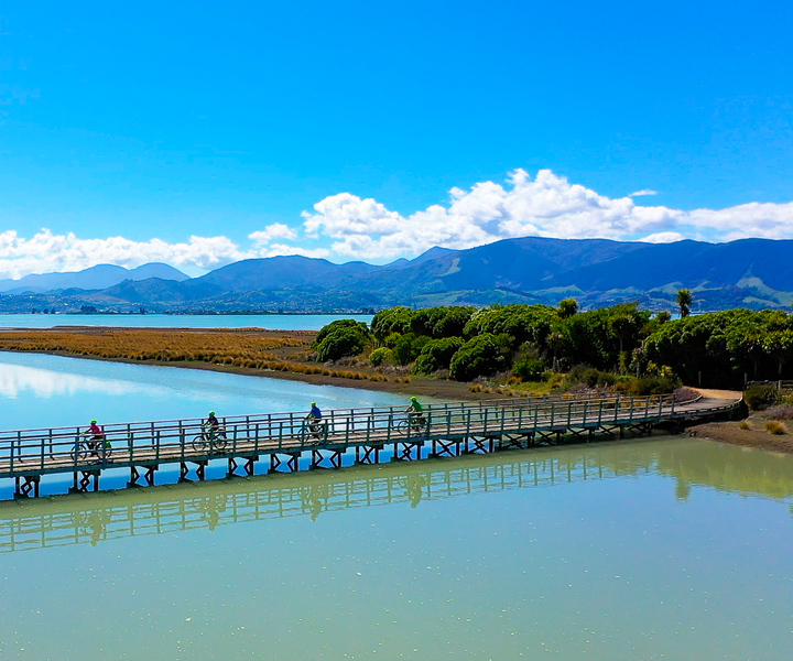 Nelson to Mapua: Full-Day Cycling Self-Guided Adventure