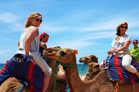 Tangier: Full-Day Private Sightseeing Tour with Camel Ride