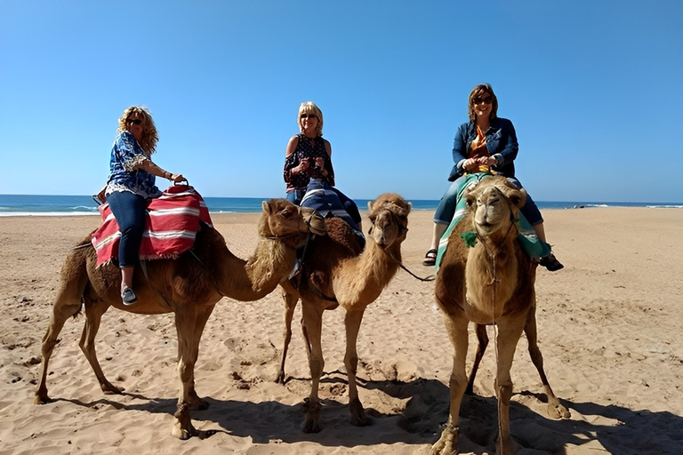 Tangier: Full-Day Private Sightseeing Tour with Camel Ride