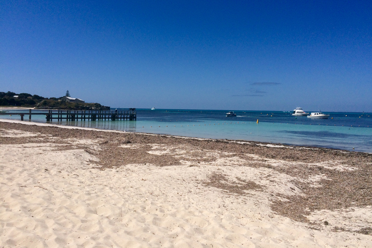 Von Perth aus: Quokkas Delight TourQuokkas Delight Rottnest Island Tour mit Fahrradverleih