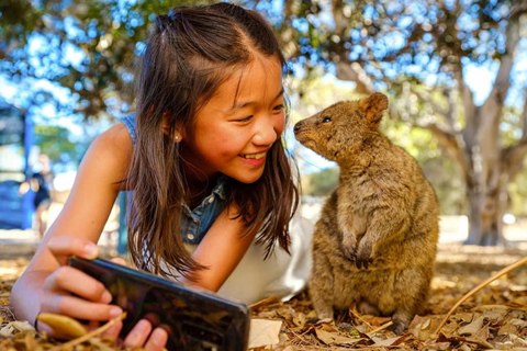 Von Perth aus: Quokkas Delight TourQuokkas Delight Rottnest Island Tour mit Fahrradverleih