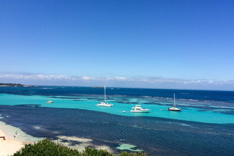 Von Perth aus: Quokkas Delight TourQuokkas Delight Rottnest Island Tour mit Fahrradverleih