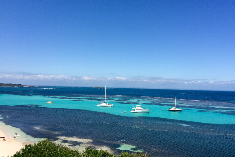 Von Perth aus: Quokkas Delight TourQuokkas Delight Rottnest Island Tour mit Fahrradverleih