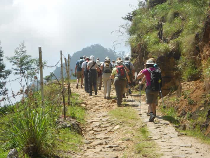 Horton Plains: Pekoe Trail Stage 11 Hiking Trip to Udaweriya | GetYourGuide