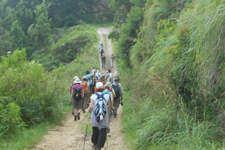 Horton Plains: Pekoe Trail Stage 11 Hiking Trip to Udaweriya