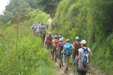 Llanuras de Horton Pekoe Trail Etapa 11 Senderismo a Udaweriya