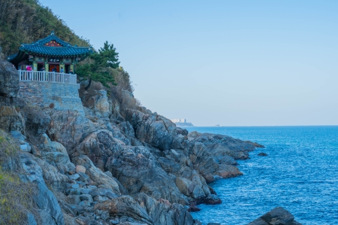 Desde Seúl: ruta al Monte Seorak y templo Naksans/Isla NamiTour compartido Nami, encuentro Myeongdong