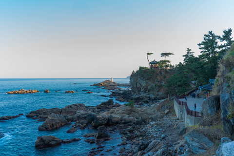 From Seoul: Mt Seorak Hike and Naksansa Temple/ Nami Island Nami Shared Tour, Meet at DDP Station (Dongdaemun)