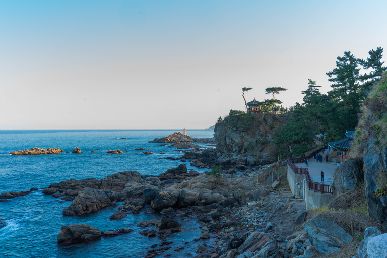 Van Seoul: Mt Seorak-wandeling en Naksansa-tempel / Nami-eilandNaksansa gedeelde tour, ontmoeten op DDP Station (Dongdaemun)