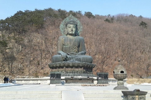 Z Seulu: wycieczka na Mt Seorak i świątynia Naksansa / wyspa NamiNami Shared Tour, spotkanie w Hongik Uni. Stacja (Hongdae).