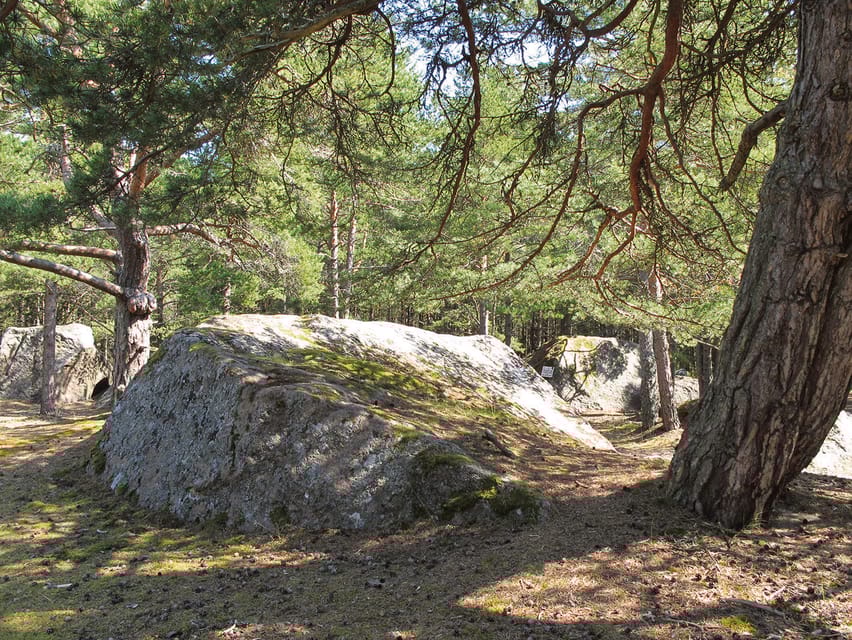 Aegna Island: Self-Guided Discovery Tour | GetYourGuide