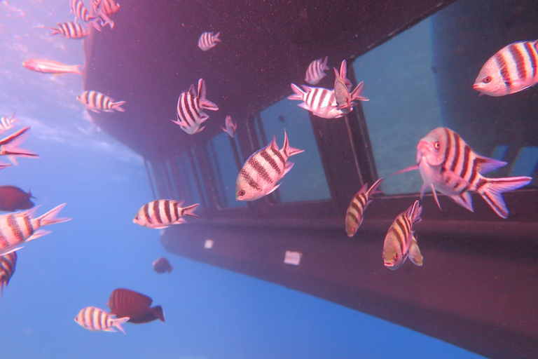 Zatoka Safaga/Makadi: Panoramiczna łódź podwodna z nurkowaniem