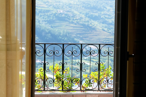 Porto : Visite privée de 2 vignobles avec dégustations et pique-nique