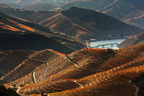 Porto : Visite privée de 2 vignobles avec dégustations et pique-nique