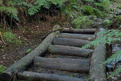 Ruta de Senderismo Misterios OscurosDesde Angro do Heroismo: Caminata por el Sendero de los Misterios Oscuros