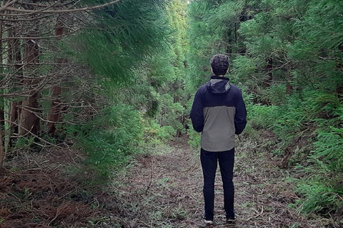 Ruta de Senderismo Misterios OscurosDesde Angro do Heroismo: Caminata por el Sendero de los Misterios Oscuros