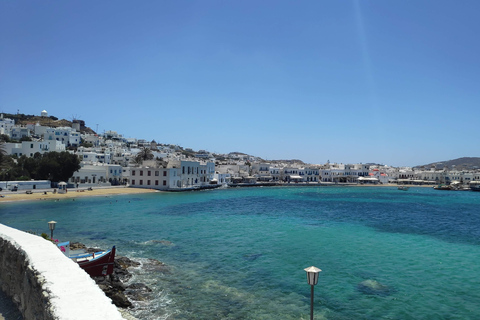 Mykonos: Highlights Rundvandring med en lokalinvånareMykonos: Vandring med en lokal turist på Mykonos