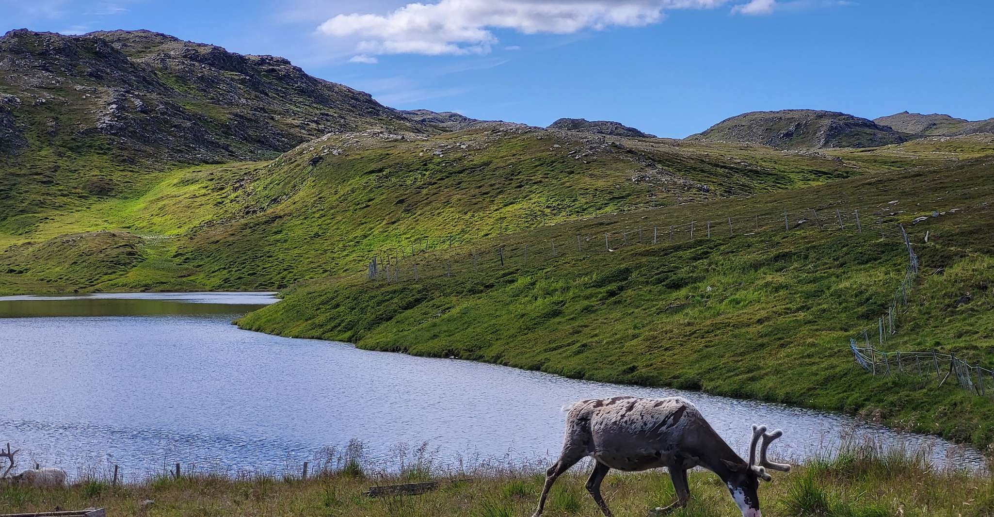 From Honningsvåg, PREMIUM North Cape and Kingcrab Tour - Housity