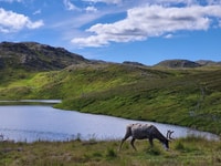 De Honningsvåg, Premium North Cape et Kingcrab Tour - Housity