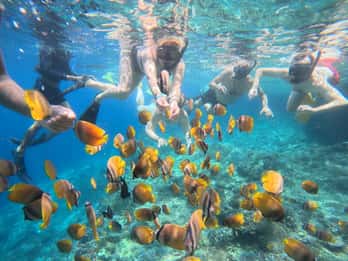 Bali: Schnorchelausflug zur Blauen Lagune mit privater Abholung
