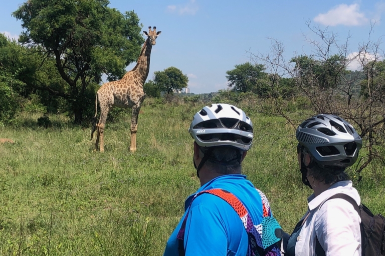 Desde Pretoria: recorrido en bicicleta eléctrica por la reserva natural de Groenkloof